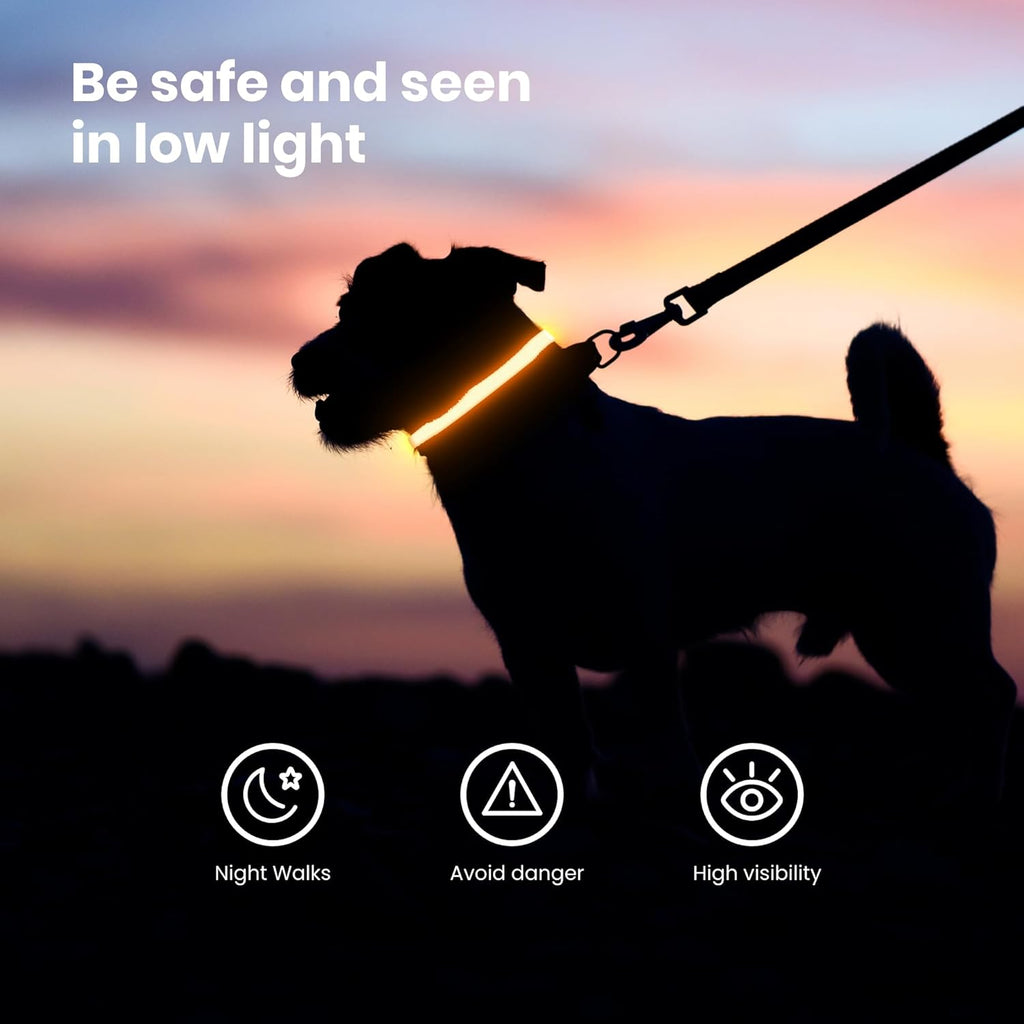 Fun Pets LED Obroża dla Psa USB – Świecąca Bezpieczna Pomarańczowa 40–50cm